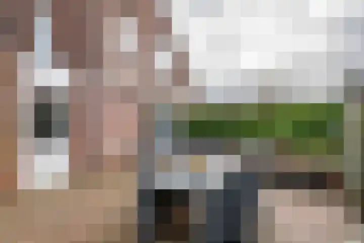Kloosterstraat 2 Wamel thumbnail 7