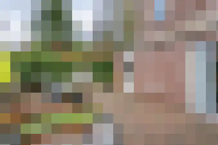 Kloosterstraat 2 Wamel thumbnail 9