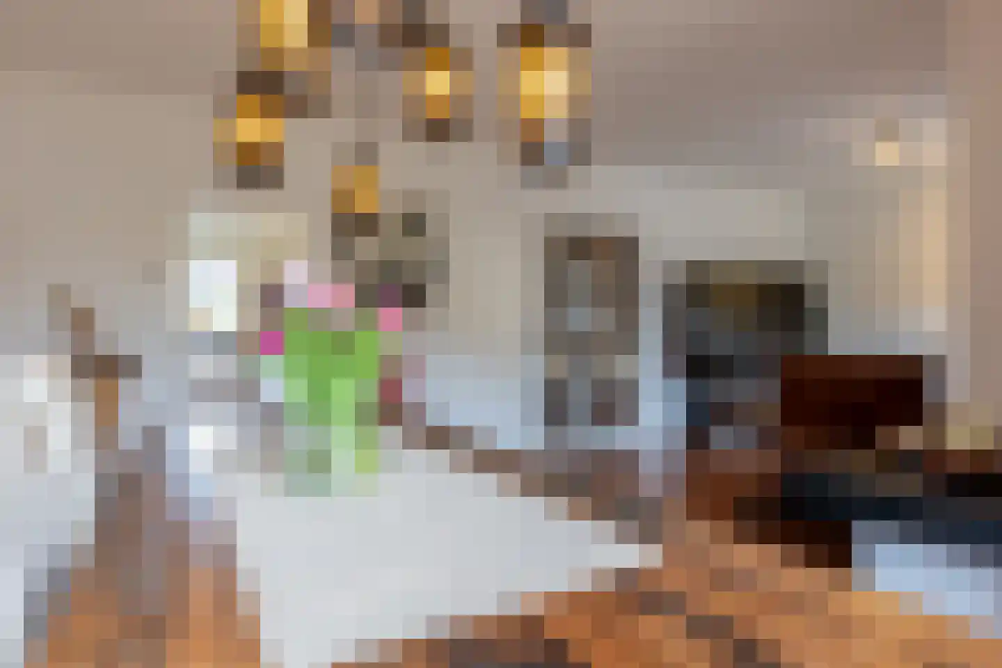 Kloosterstraat 20 A Landgraaf thumbnail 7