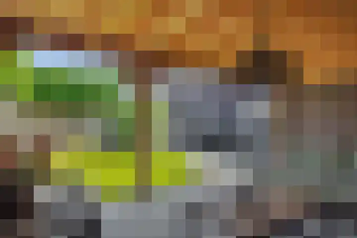 Kloosterstraat 20 Geffen thumbnail 26