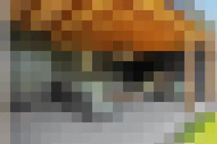 Kloosterstraat 20 Geffen thumbnail 28