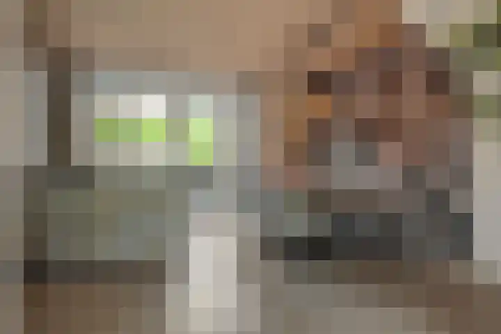 Kloosterstraat 20 Geffen thumbnail 6