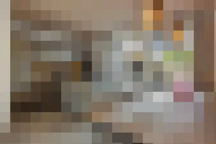 Kloosterstraat 20 Geffen thumbnail 9