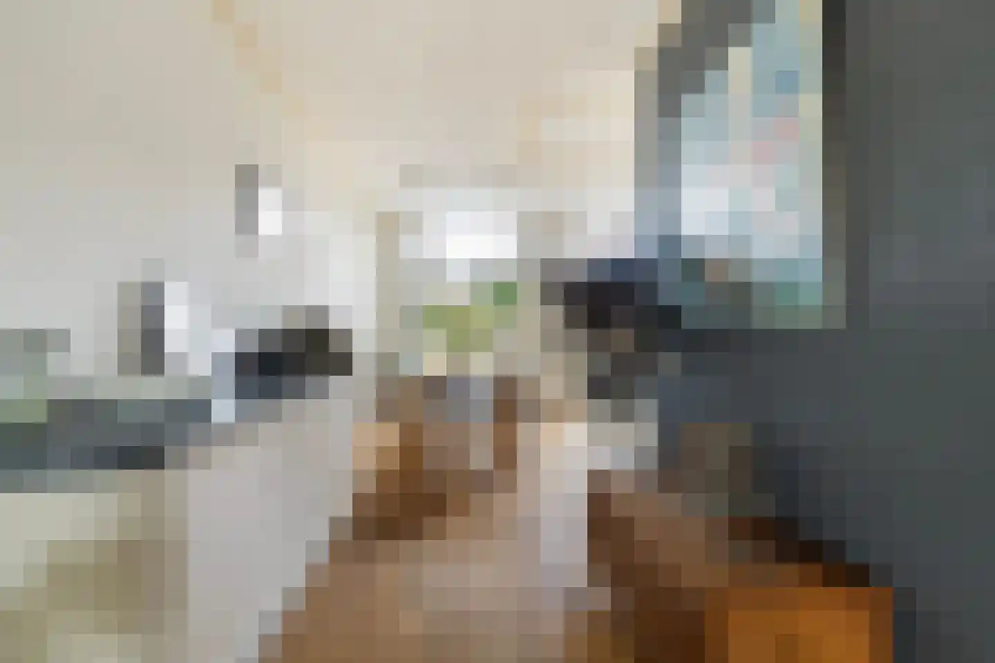 Kloosterstraat 20 Sneek thumbnail 17