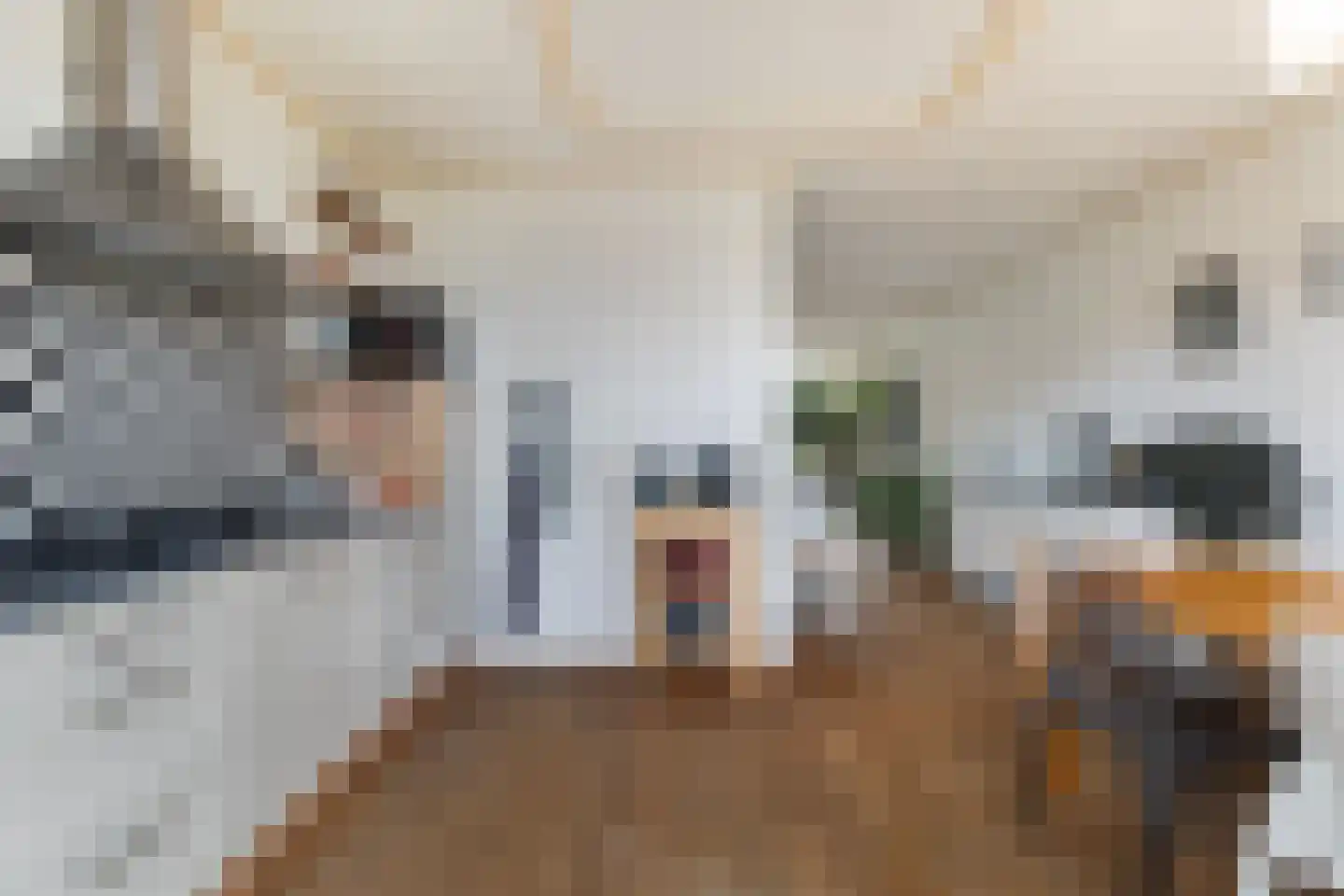 Kloosterstraat 20 Sneek thumbnail 21