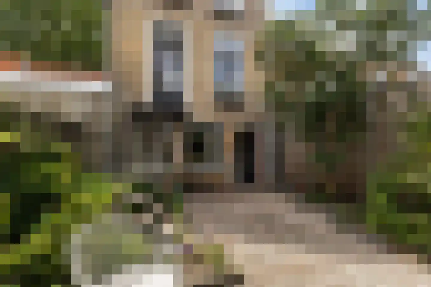Kloosterstraat 20 Sneek thumbnail 4