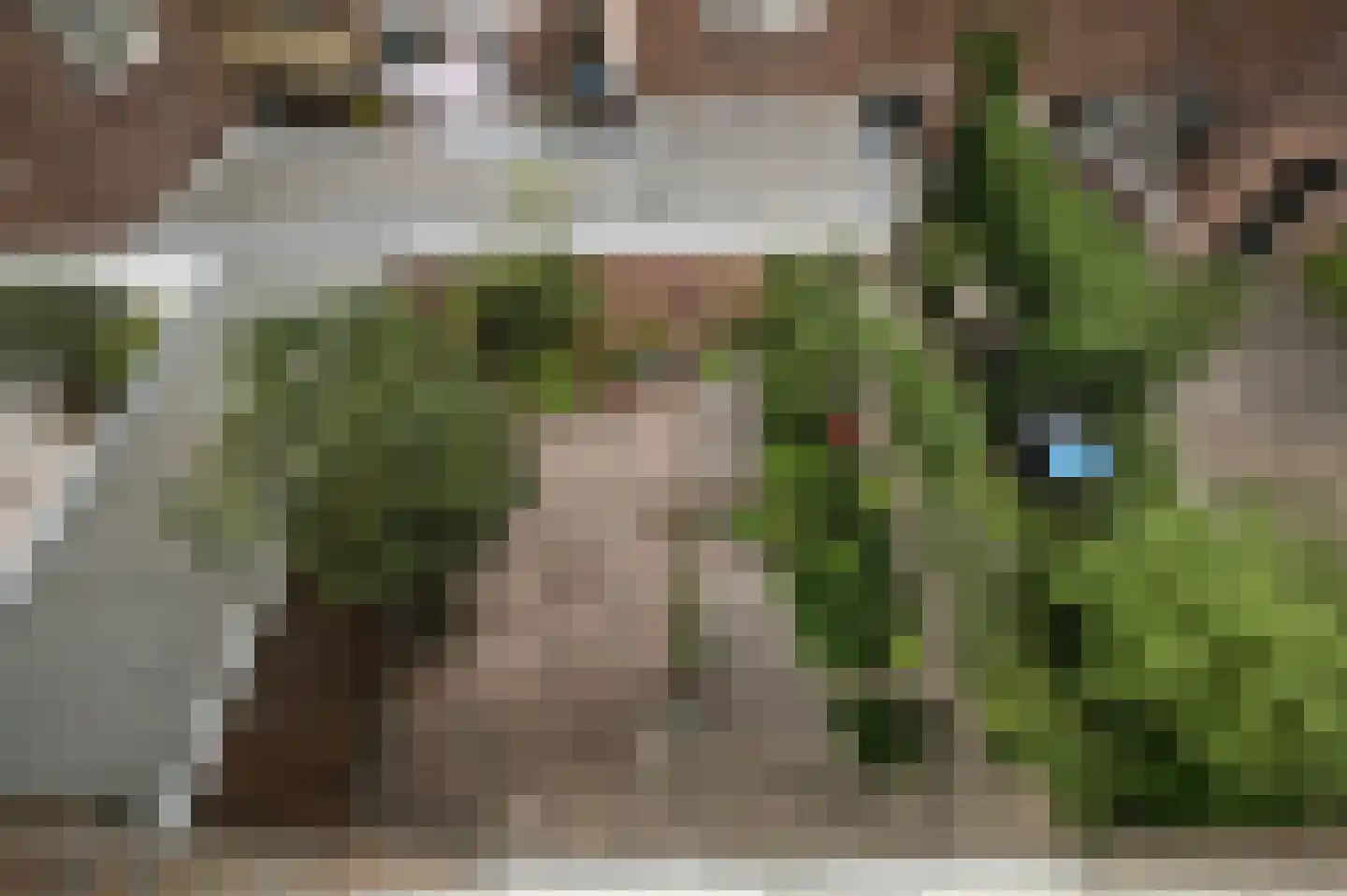 Kloosterstraat 20 Sneek thumbnail 9