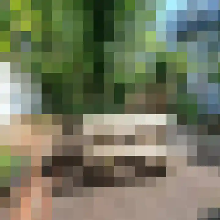 Kloosterstraat 21 Groningen thumbnail 10