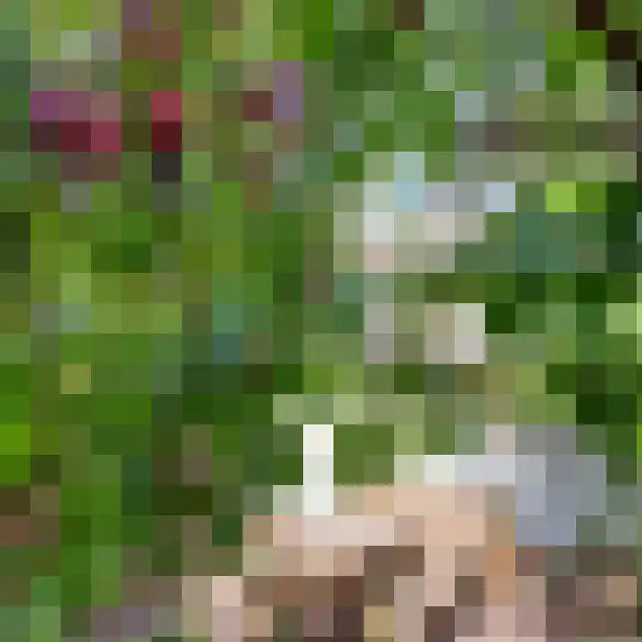 Kloosterstraat 21 Groningen thumbnail 11
