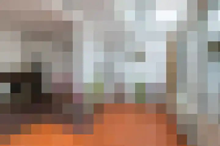Kloosterstraat 21 Groningen thumbnail 16