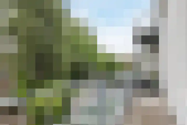 Kloosterstraat 21 Groningen thumbnail 4