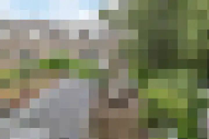 Kloosterstraat 21 Groningen thumbnail 5