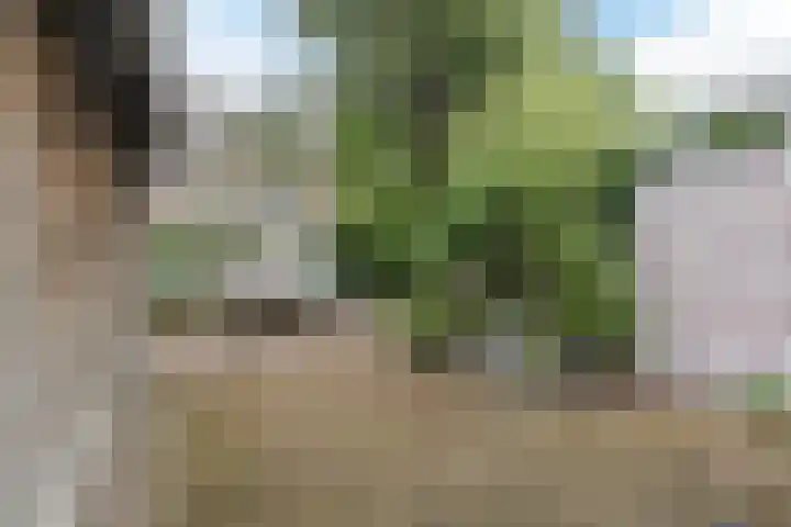 Kloosterstraat 21 Groningen thumbnail 6