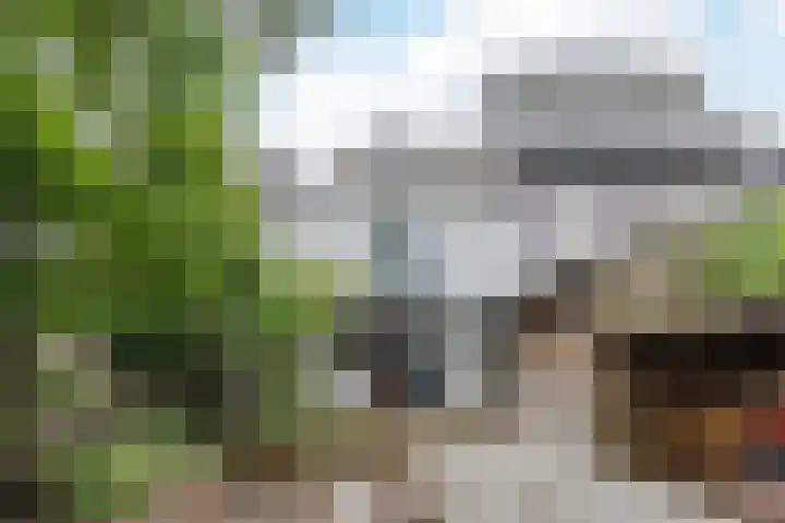 Kloosterstraat 21 Groningen thumbnail 7