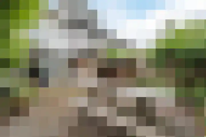 Kloosterstraat 21 Groningen thumbnail 8