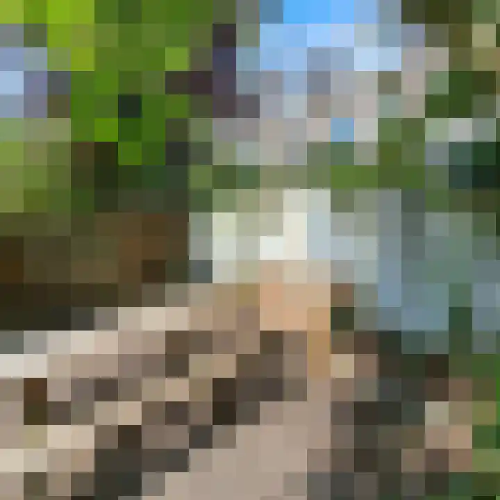 Kloosterstraat 21 Groningen thumbnail 9