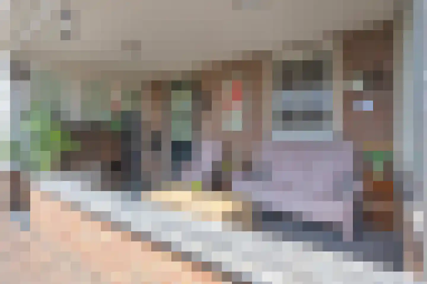 Kloosterstraat 21 Helmond thumbnail 73