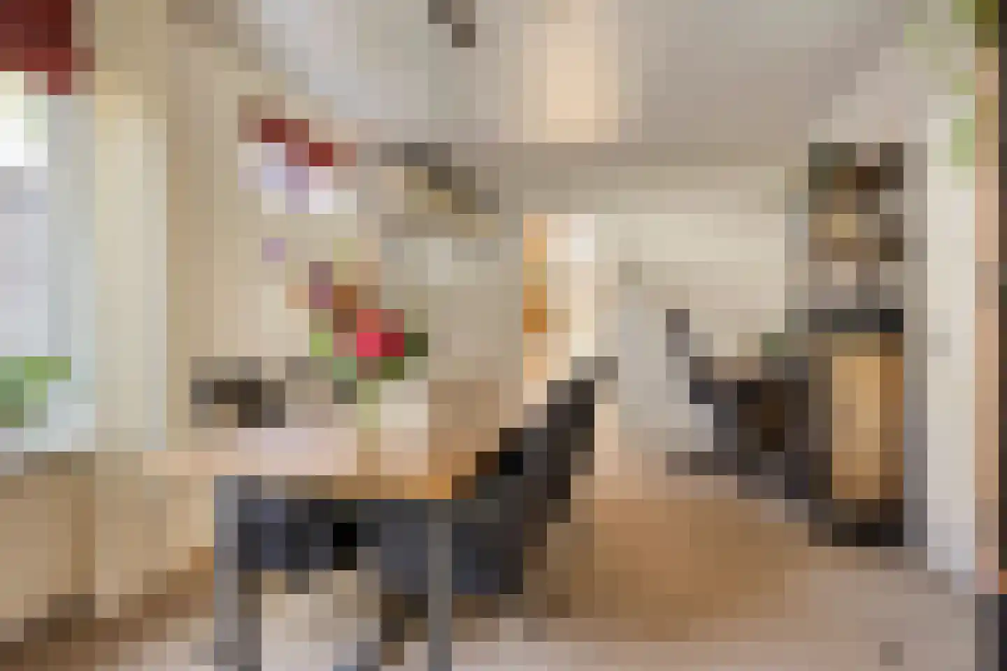 Kloosterstraat 21 Losser thumbnail 15