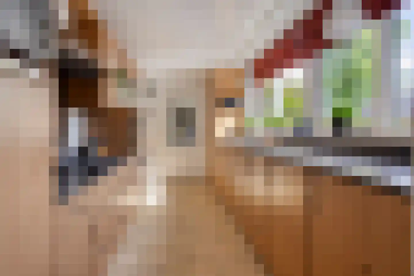Kloosterstraat 21 Losser thumbnail 18