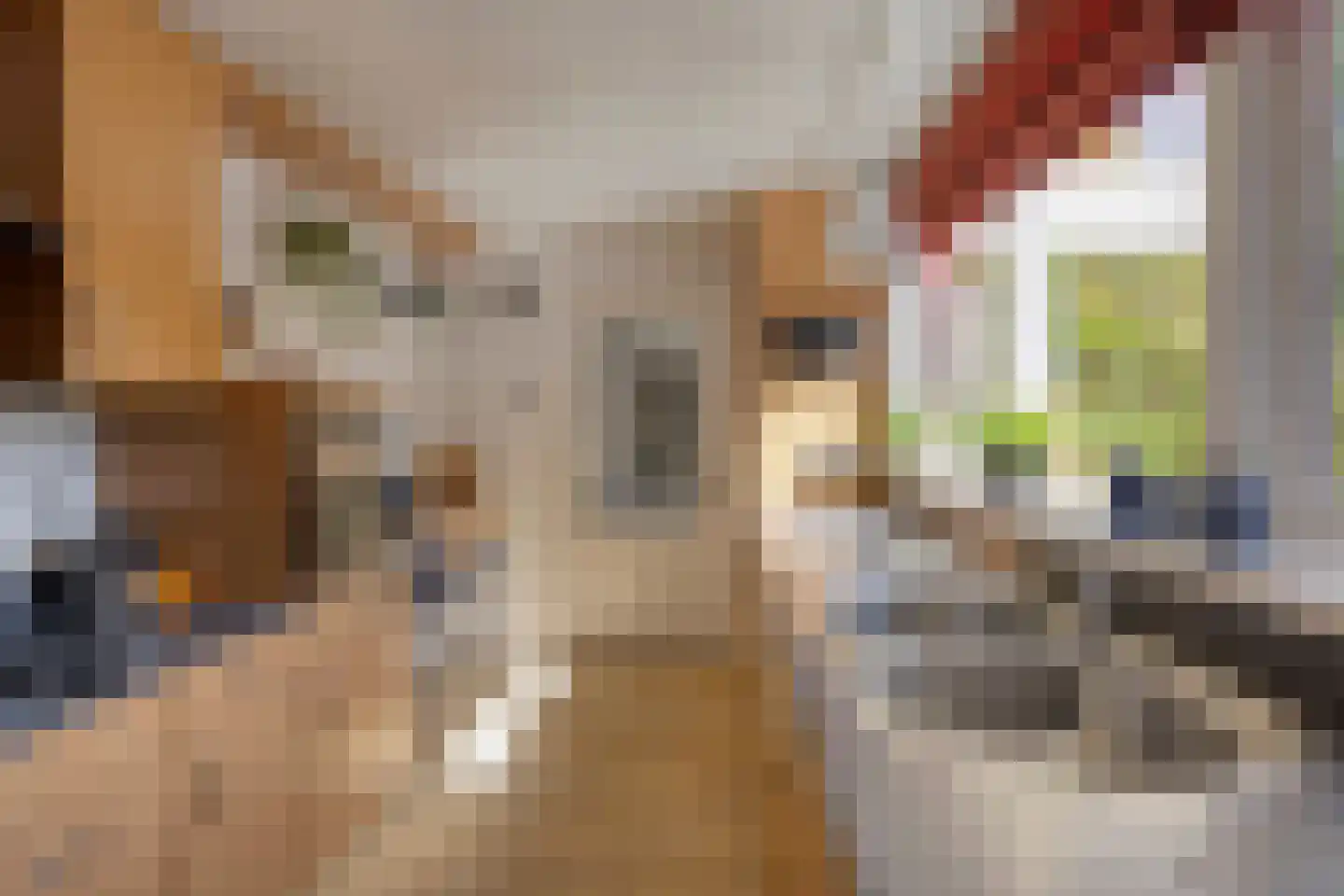 Kloosterstraat 21 Losser thumbnail 20