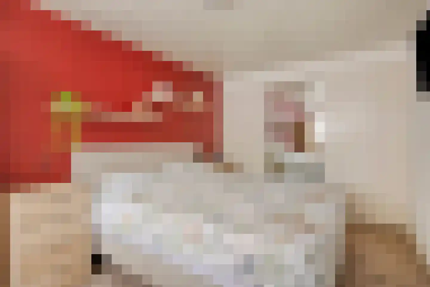 Kloosterstraat 21 Losser thumbnail 22