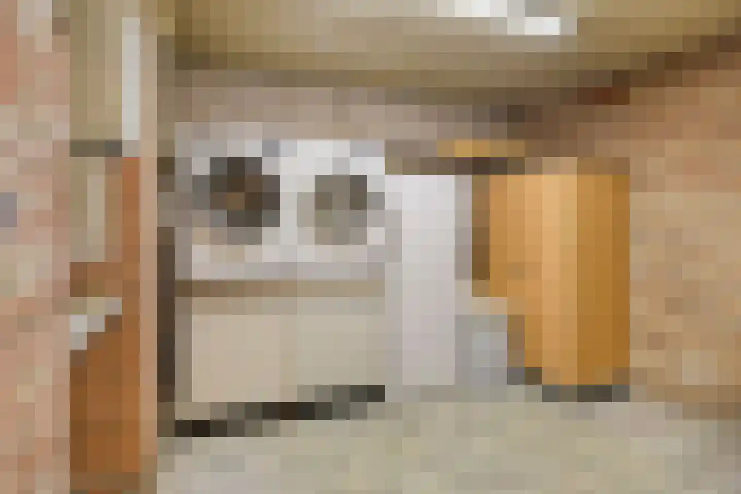 Kloosterstraat 21 Losser thumbnail 29