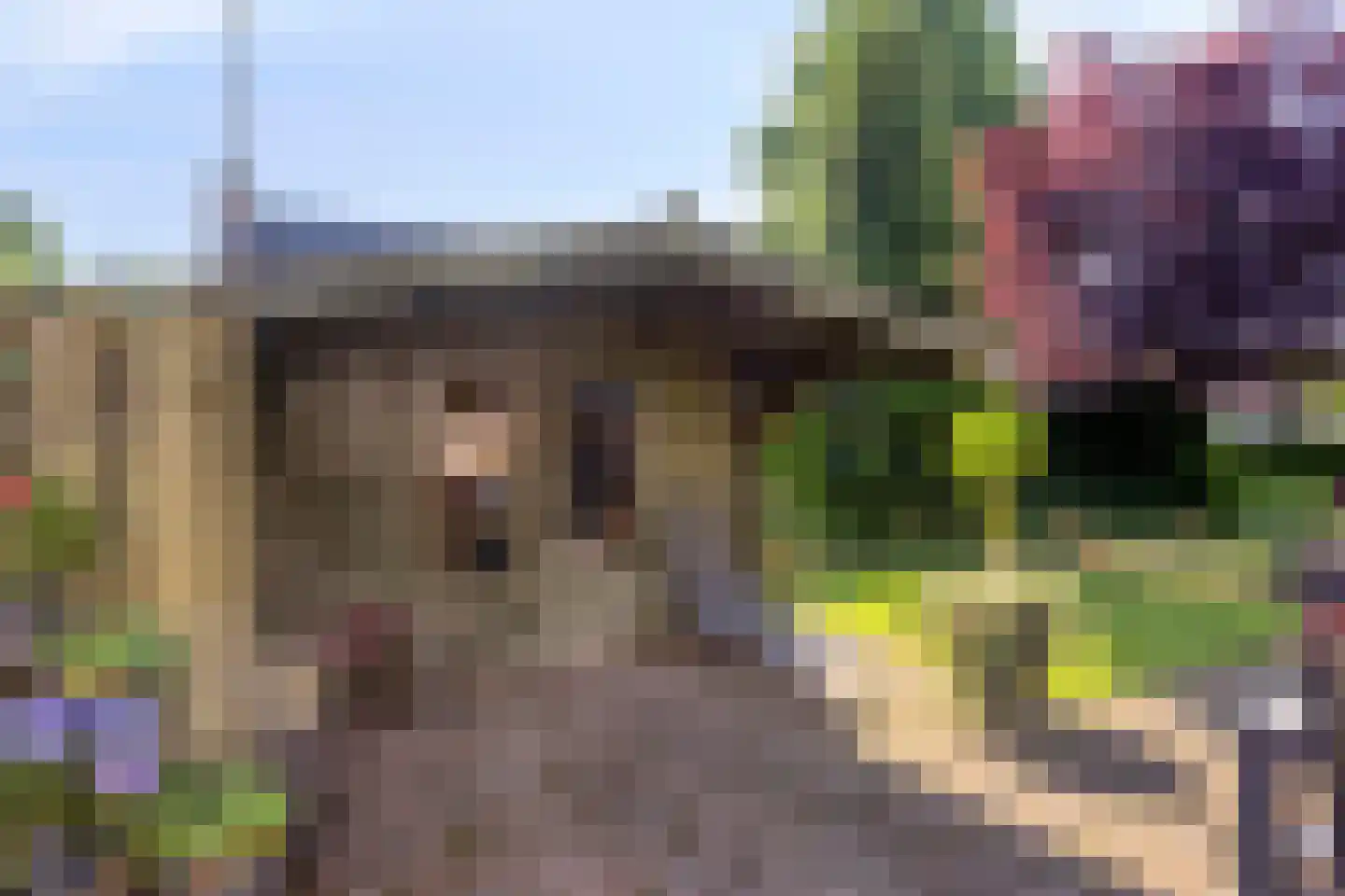 Kloosterstraat 21 Losser thumbnail 36