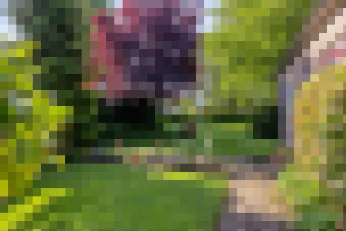 Kloosterstraat 21 Losser thumbnail 37