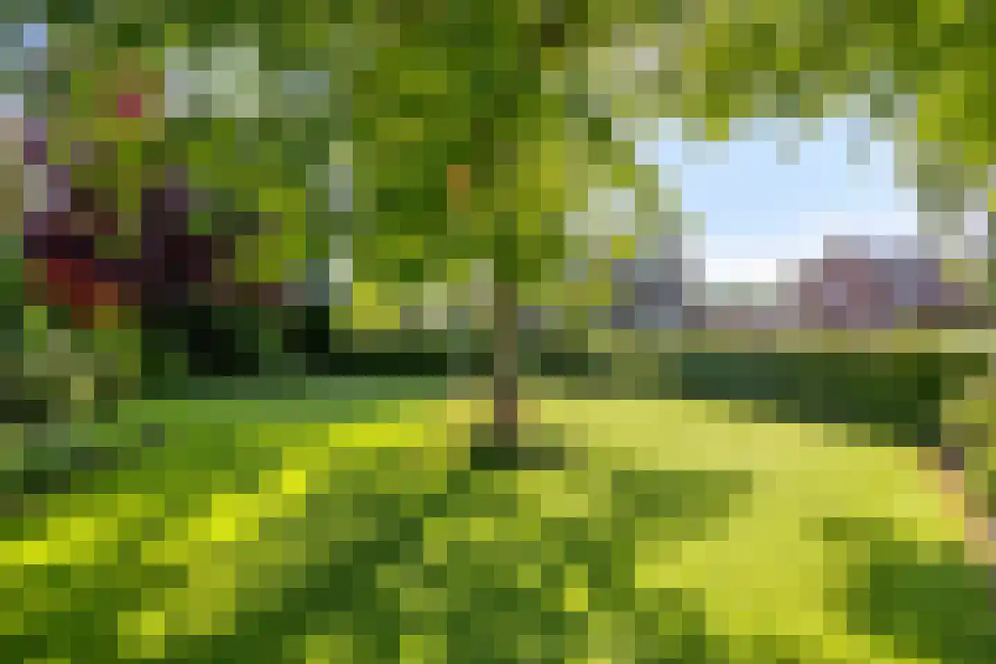Kloosterstraat 21 Losser thumbnail 39