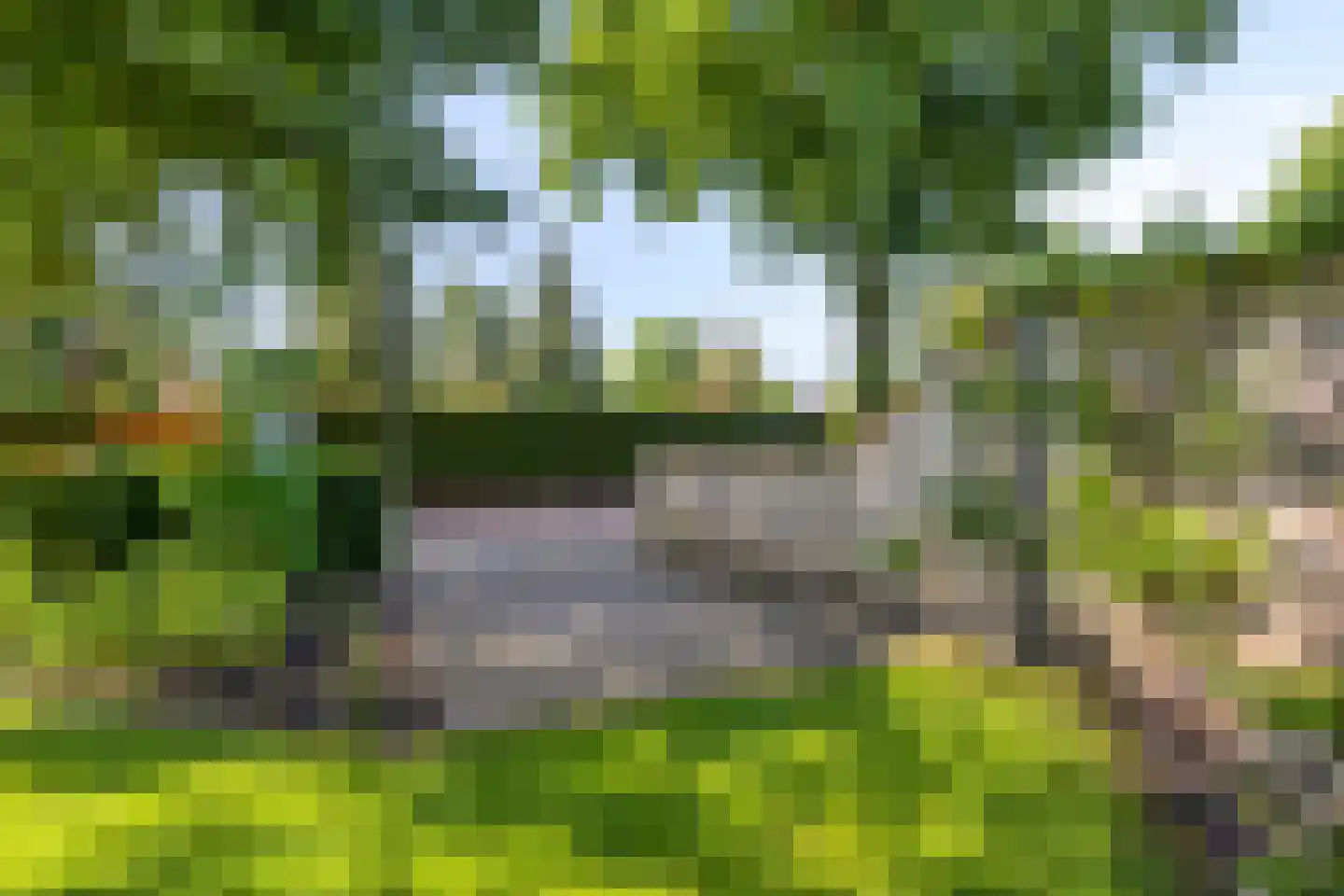Kloosterstraat 21 Losser thumbnail 43