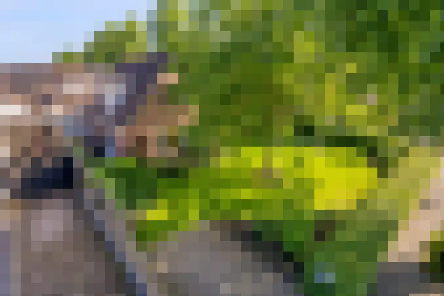 Kloosterstraat 21 Losser thumbnail 5