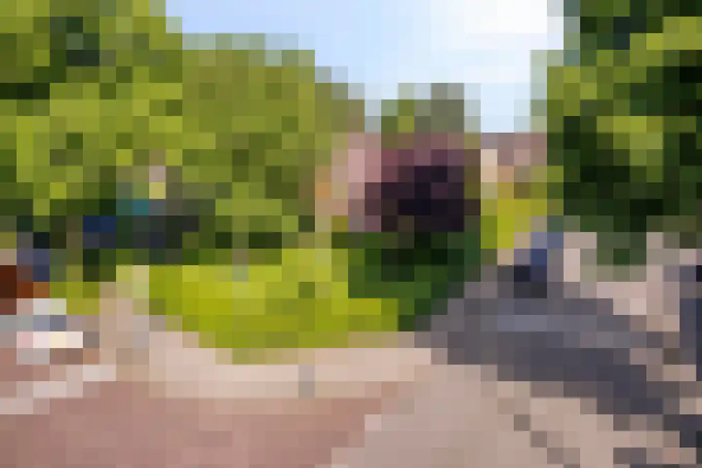 Kloosterstraat 21 Losser thumbnail 6