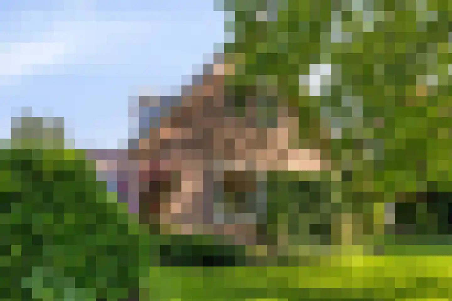Kloosterstraat 21 Losser thumbnail 8