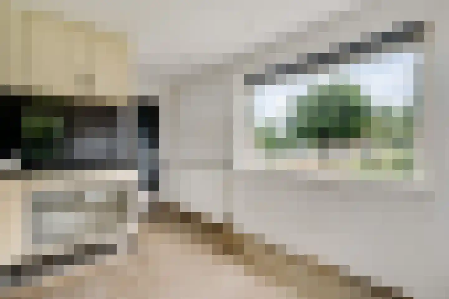 Kloosterstraat 21 Maasbracht thumbnail 11