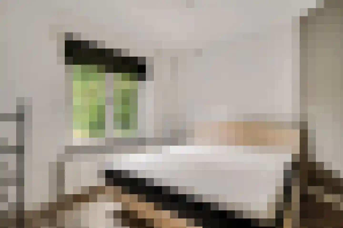 Kloosterstraat 21 Maasbracht thumbnail 12