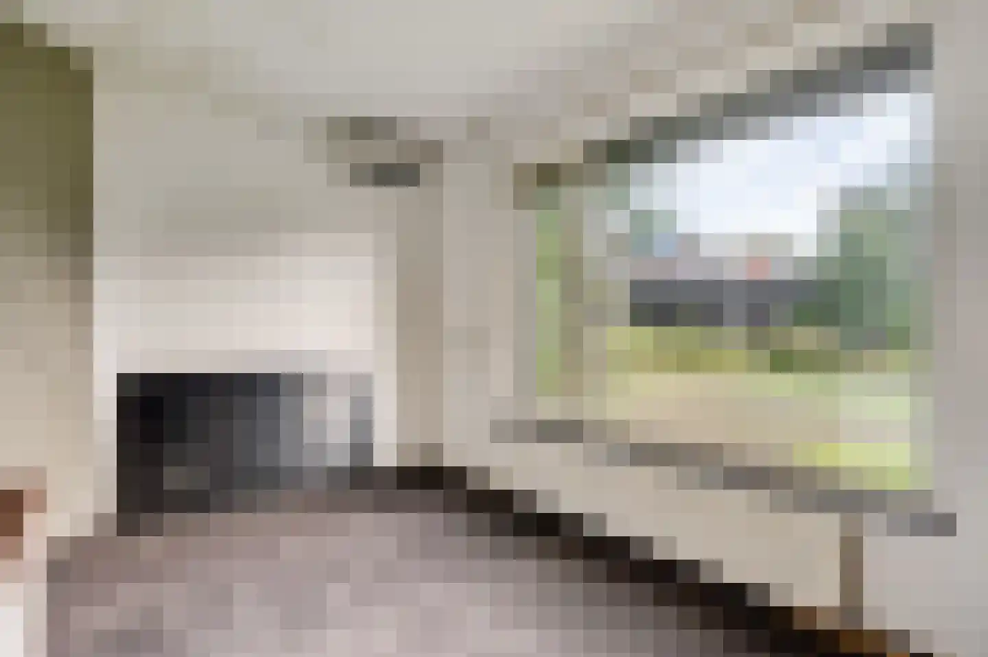 Kloosterstraat 21 Maasbracht thumbnail 13