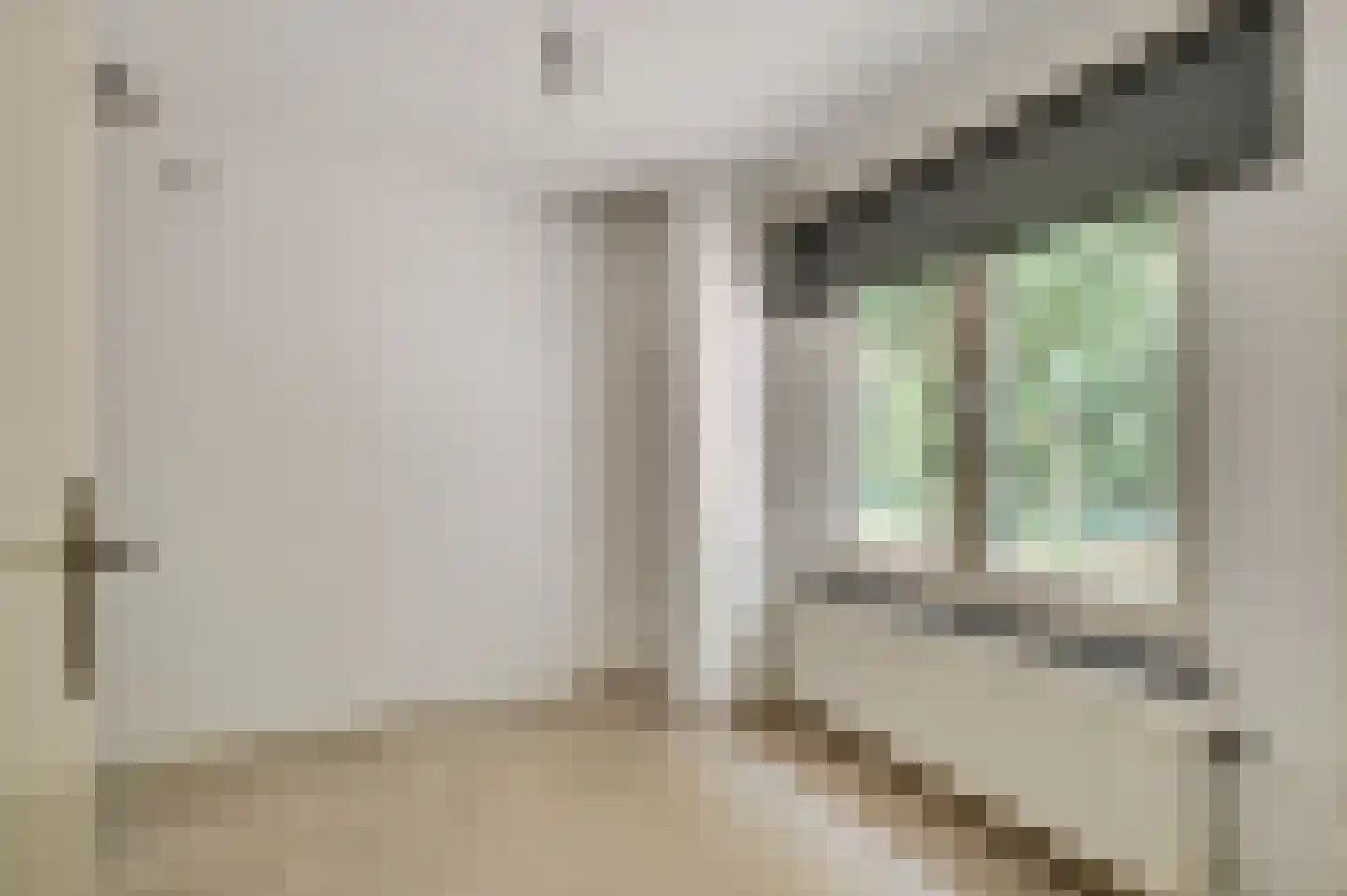 Kloosterstraat 21 Maasbracht thumbnail 14