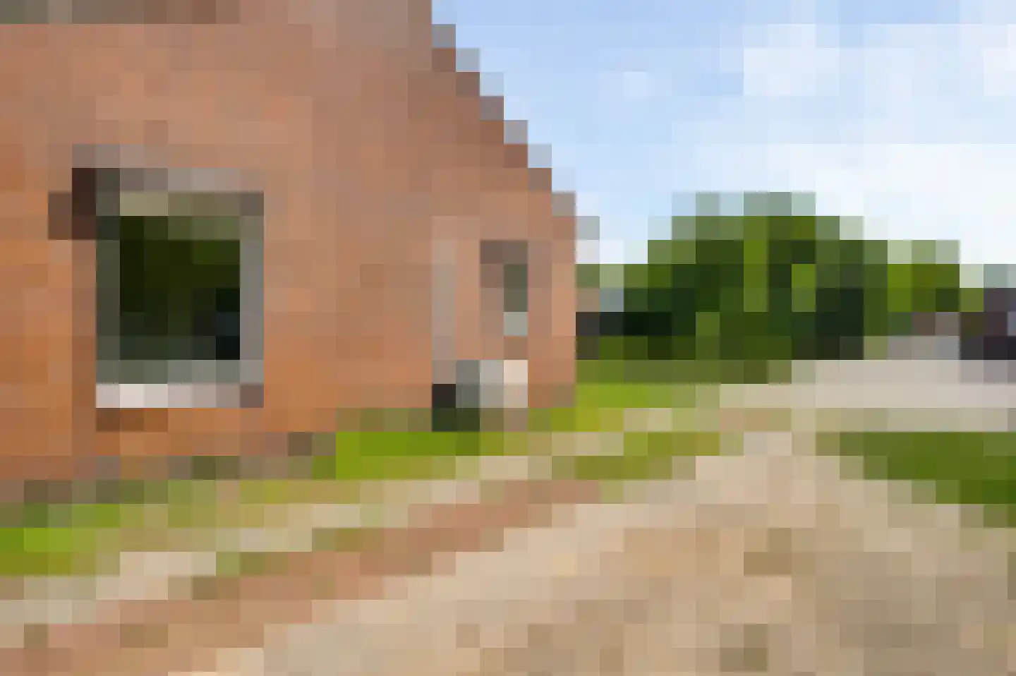 Kloosterstraat 21 Maasbracht thumbnail 5