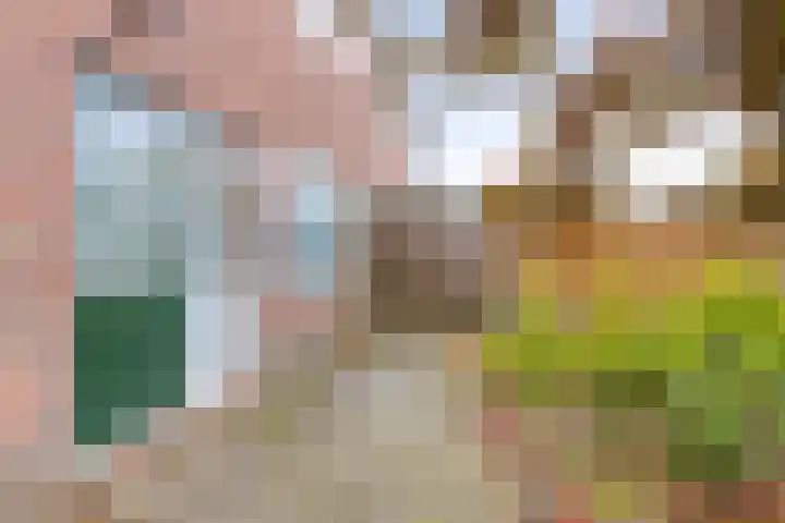 Kloosterstraat 21 Surhuisterveen thumbnail 37