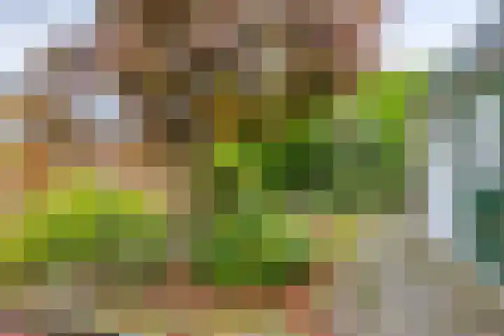 Kloosterstraat 21 Surhuisterveen thumbnail 38