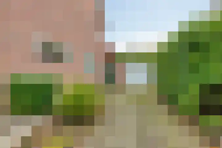 Kloosterstraat 21 Surhuisterveen thumbnail 4