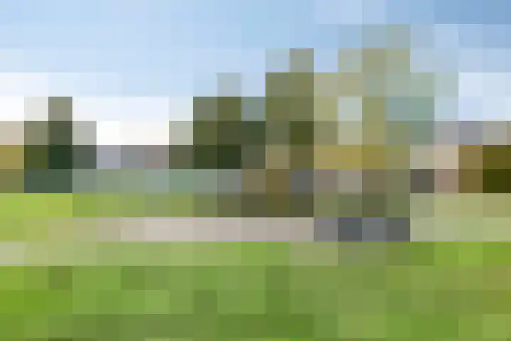 Kloosterstraat 21 Surhuisterveen thumbnail 41