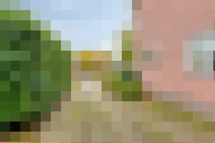 Kloosterstraat 21 Surhuisterveen thumbnail 5