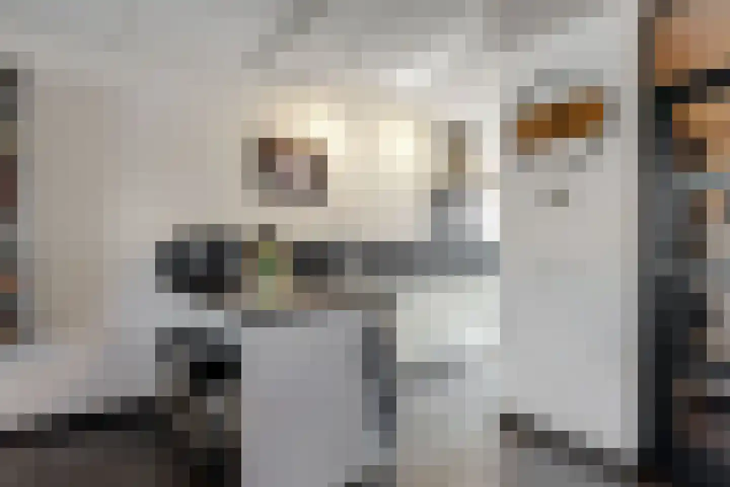 Kloosterstraat 23 Geleen thumbnail 6