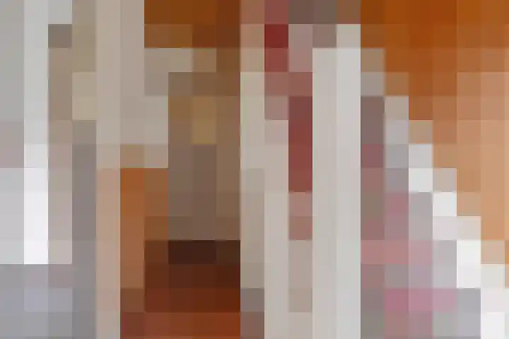 Kloosterstraat 23 Sneek thumbnail 18