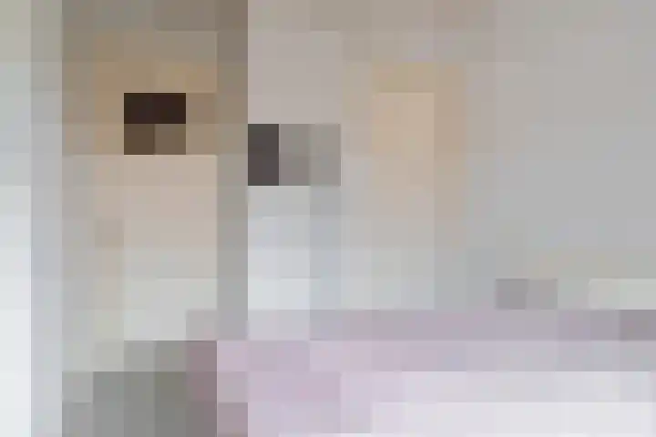 Kloosterstraat 23 Sneek thumbnail 21