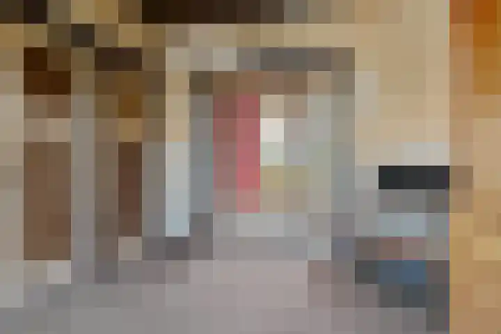 Kloosterstraat 23 Sneek thumbnail 6