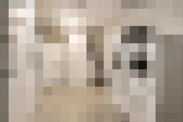 Kloosterstraat 24 f Heythuysen thumbnail 33