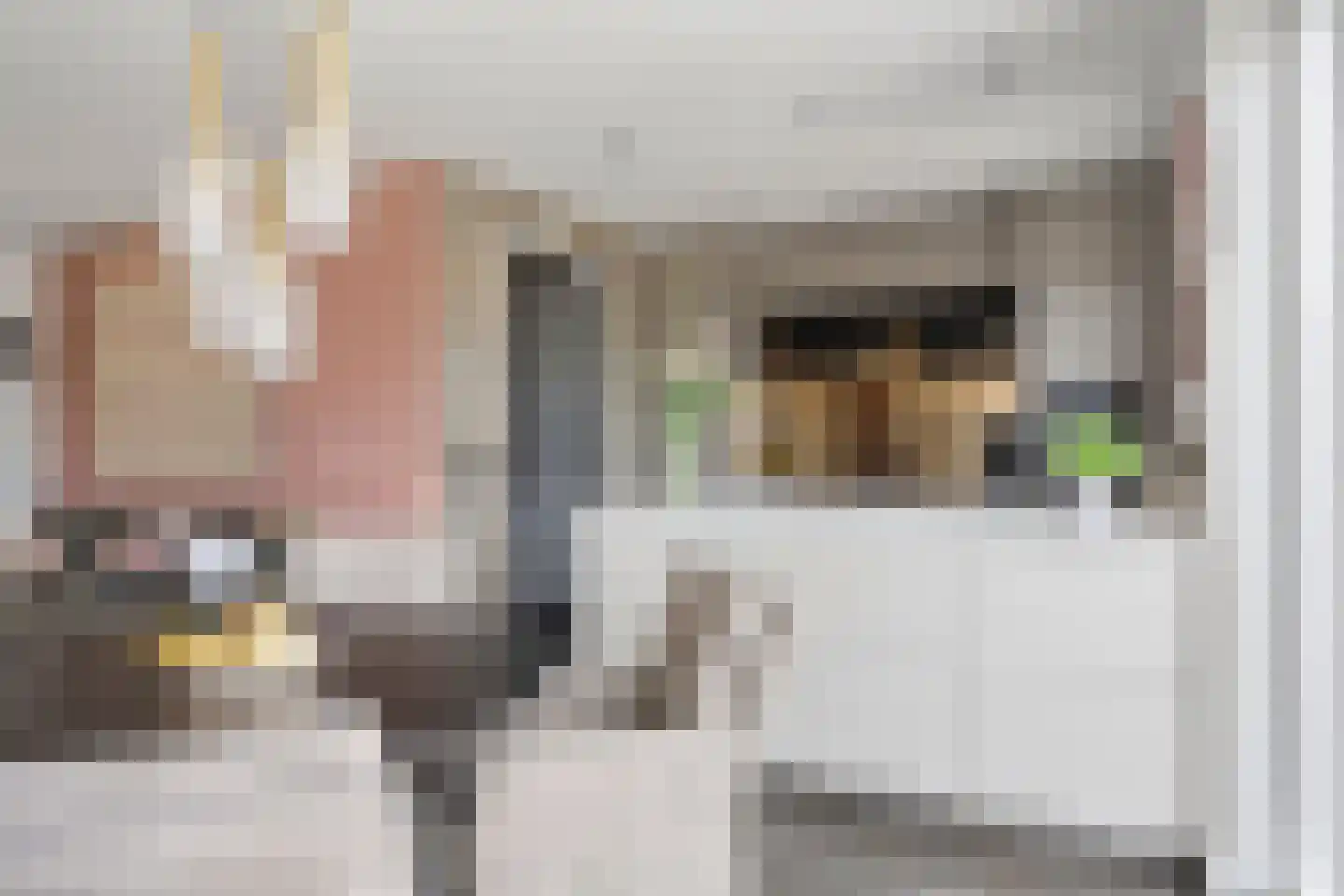Kloosterstraat 24 Nieuwkuijk thumbnail 14