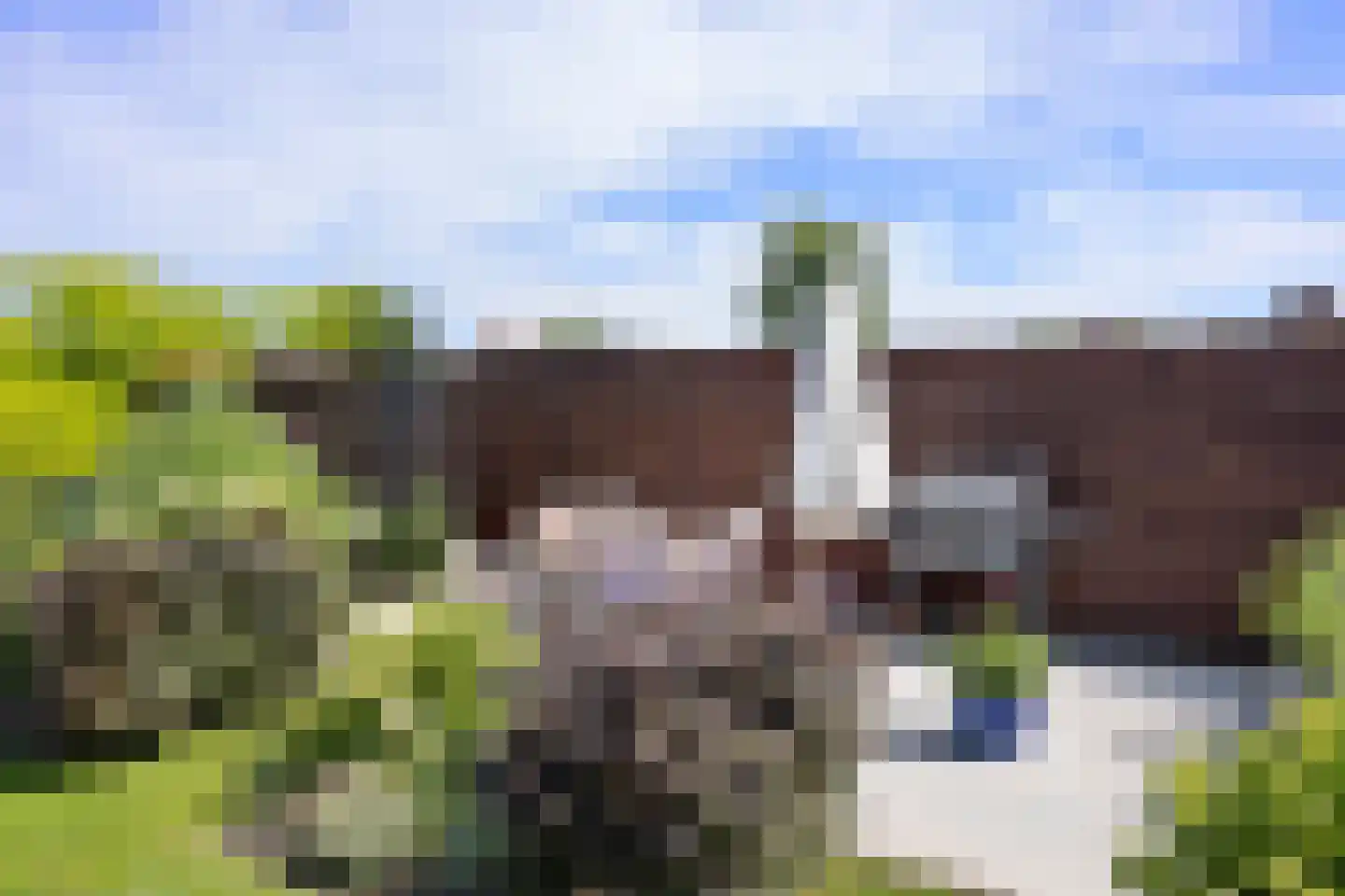 Kloosterstraat 24 Nieuwkuijk thumbnail 39